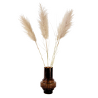 Flori uscate - 5 buc - Dryflower 'Cortaderia Plum' - Flori uscate