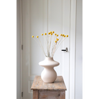 Flori uscate - Bouquet 'Craspedia natural yellow' - Buchet - Galben