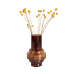 Flori uscate - Bouquet 'Craspedia natural yellow' - Buchet - Galben