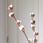 Flori uscate - 3 buc - Bouquet 'Cotton branch' - Flori uscate - Alb