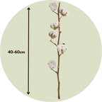 Flori uscate - 3 buc - Bouquet 'Cotton branch' - Flori uscate - Alb