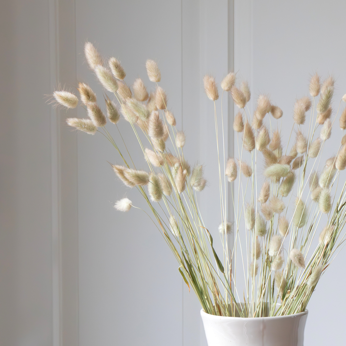 Flori uscate - Bouquet 'Lagurus Bunny Ears' - Buchet