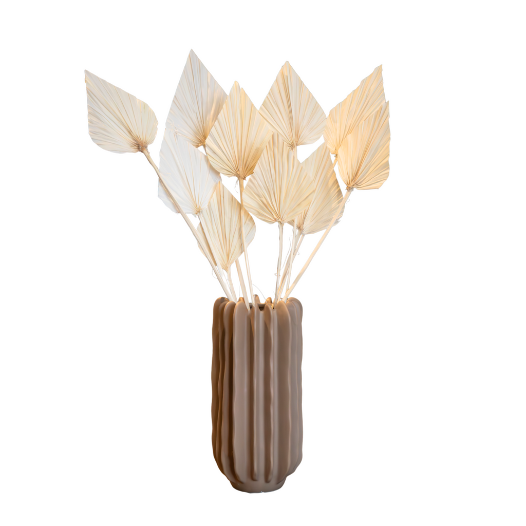 Flori uscate - 10 buc - Bouquet 'Palmspear Bleached White' - Flori uscate