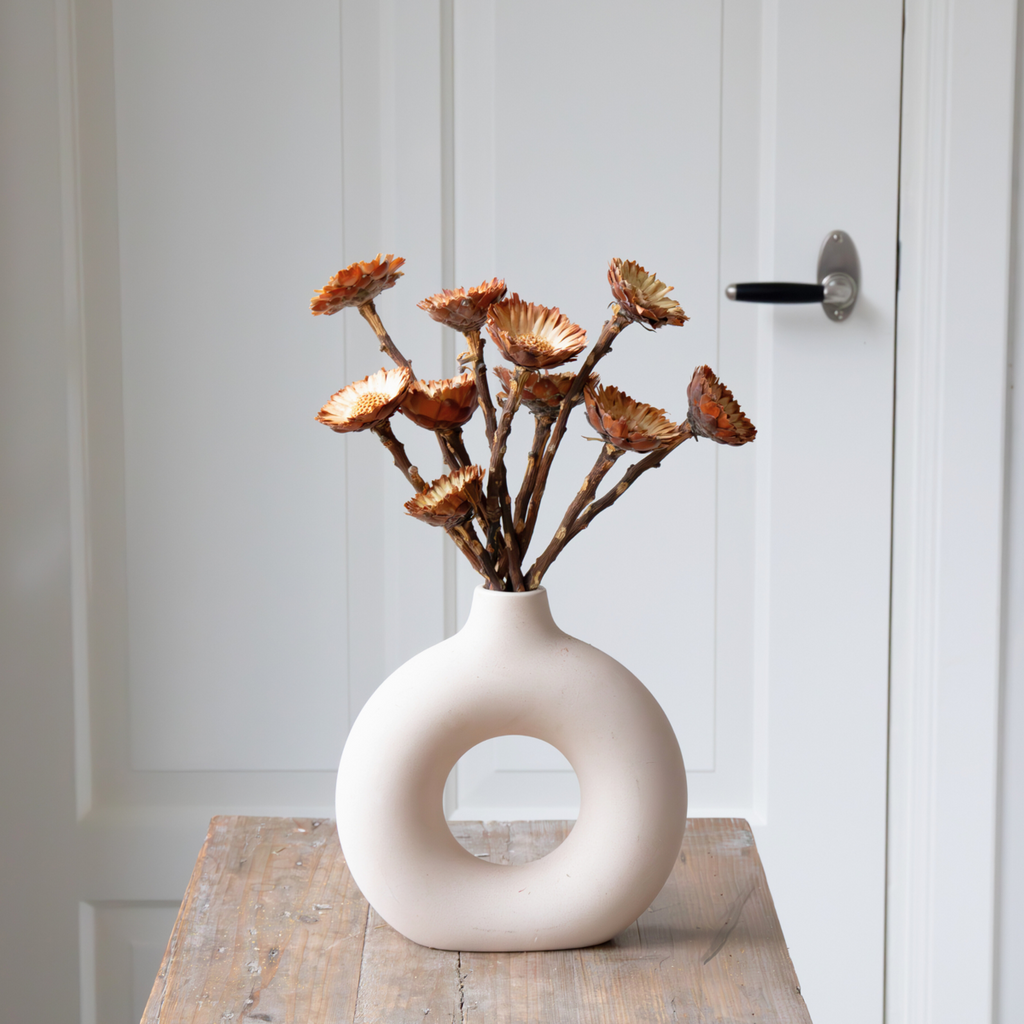 Flori uscate - 10 buc - Bouquet 'Protea Compacta' - Flori uscate