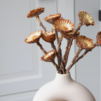 Flori uscate - 10 buc - Bouquet 'Protea Compacta' - Flori uscate