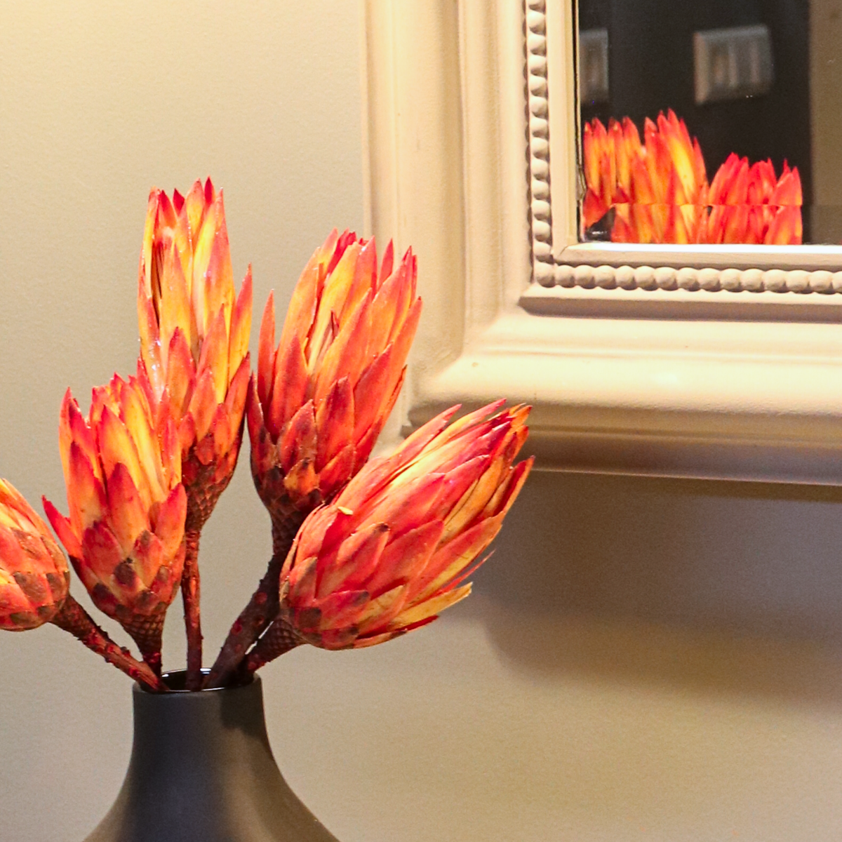 Flori uscate - 5 buc - Bouquet 'Protea Pendula Red' - Flori uscate