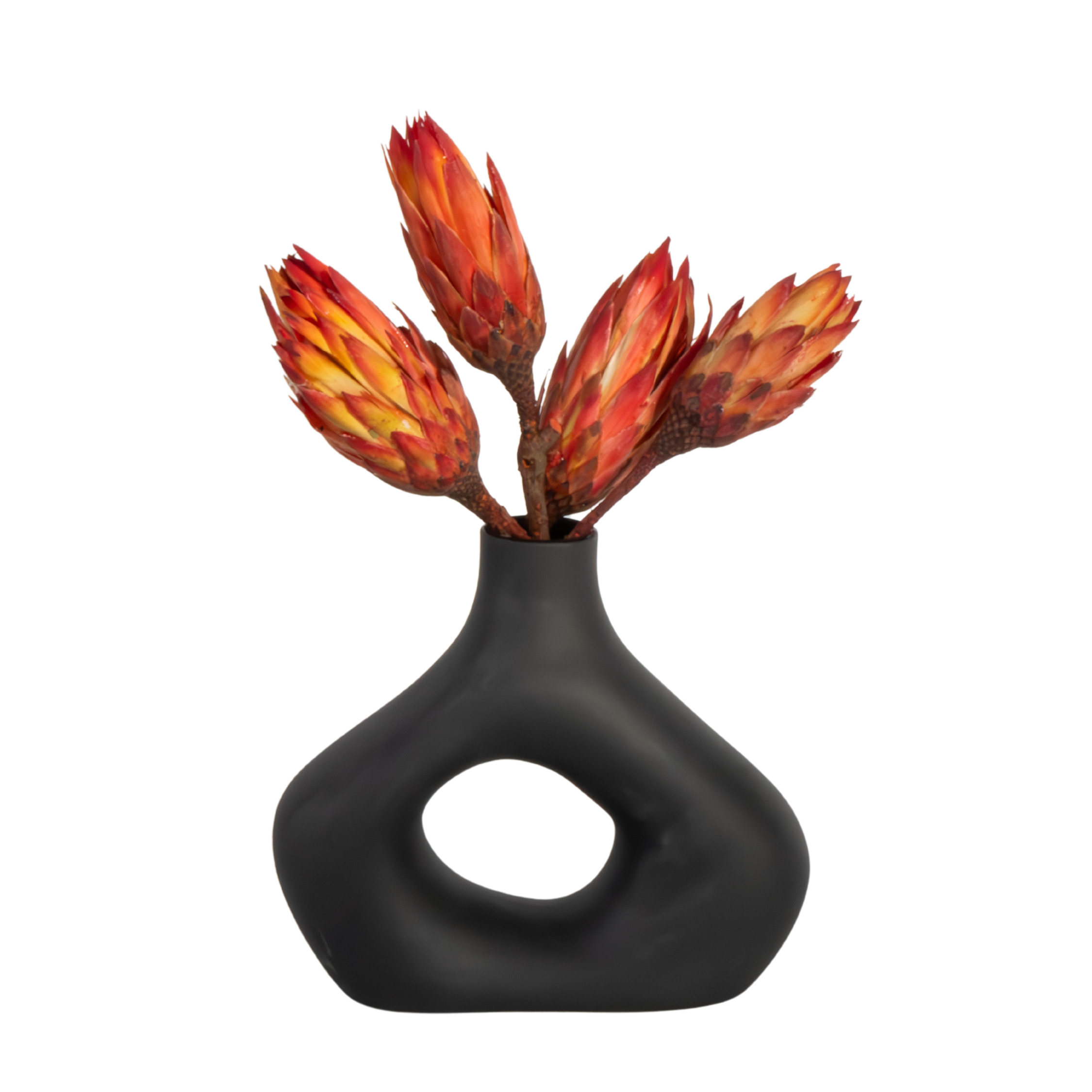 Flori uscate - 5 buc - Bouquet 'Protea Pendula Red' - Flori uscate