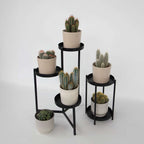 Mix de cactuși - Set de 6 - Cactus - Înălțime 15-20cm - ⌀10,5cm