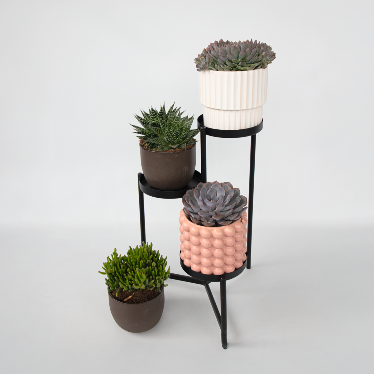 Suculente - Mix de 3 - Coș inclus - Înălțime 30-35cm - ⌀17cm