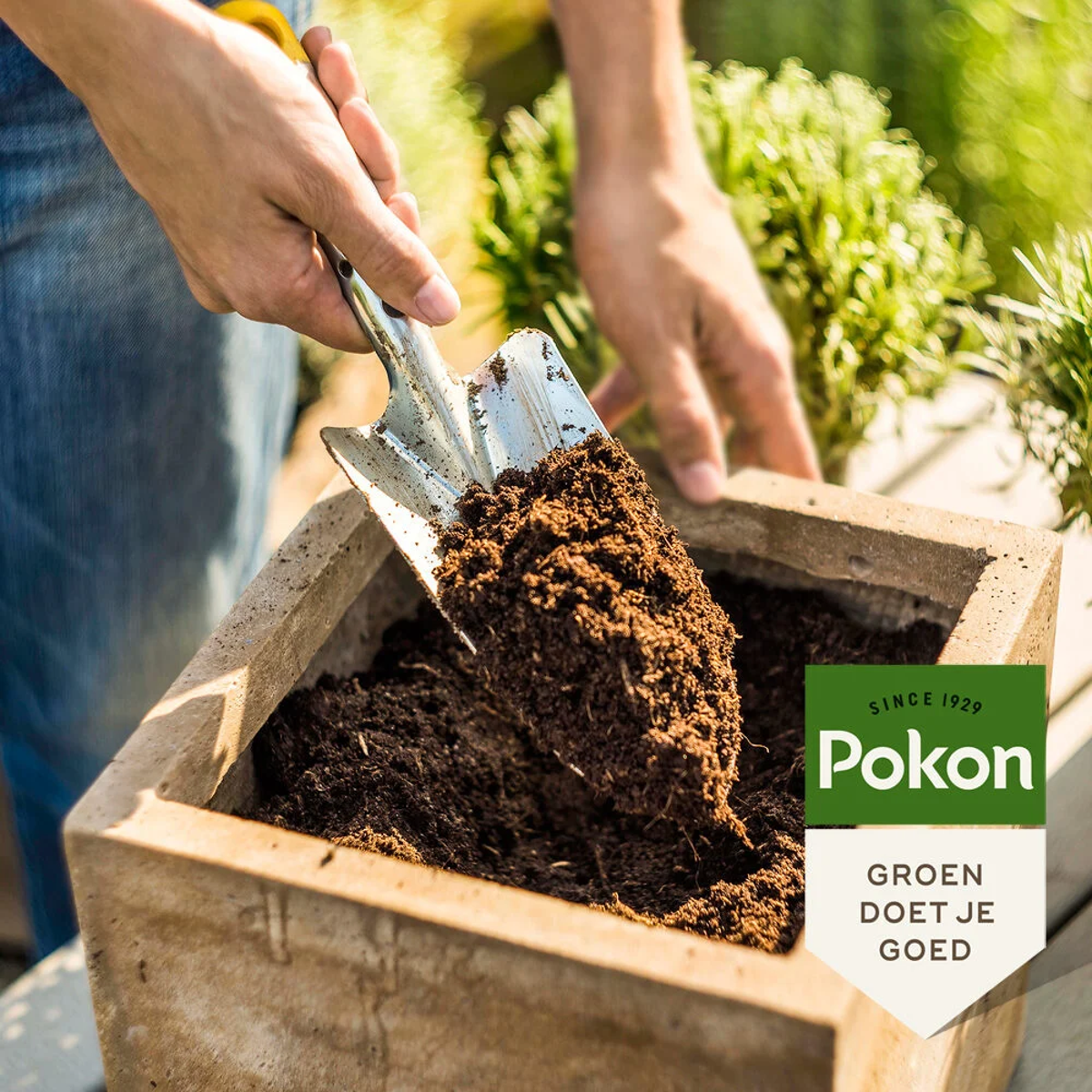 Pokon pământ de ghiveci Compact - Cocos - Casă și grădină - 50 litri