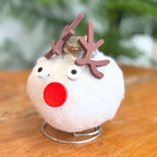 Amarilis - Hippeastrum 'Ceară Specială Ren'