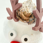 Amarilis - Hippeastrum 'Ceară Specială Ren'