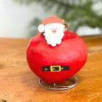 Amarilis - Set de 2 - Hippeastrum 'Ceară Specială Mix'