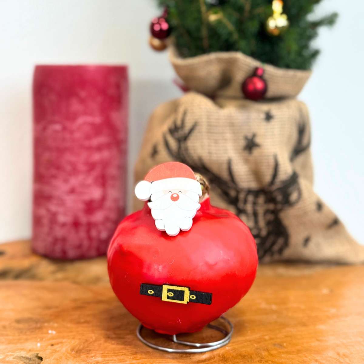 Amarilis - Hippeastrum 'Ceară Specială Moș Crăciun'