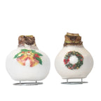 Amarilis - Set de 2 - Hippeastrum 'Amestec Ceară de Porțelan'