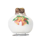 Amarilis - Hippeastrum 'Clopoței din Ceară de Porțelan'