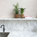 Mici Dypsis și Chamaedorea - Set de 2 cu coș - Înălțime 25-40cm - ⌀12cm