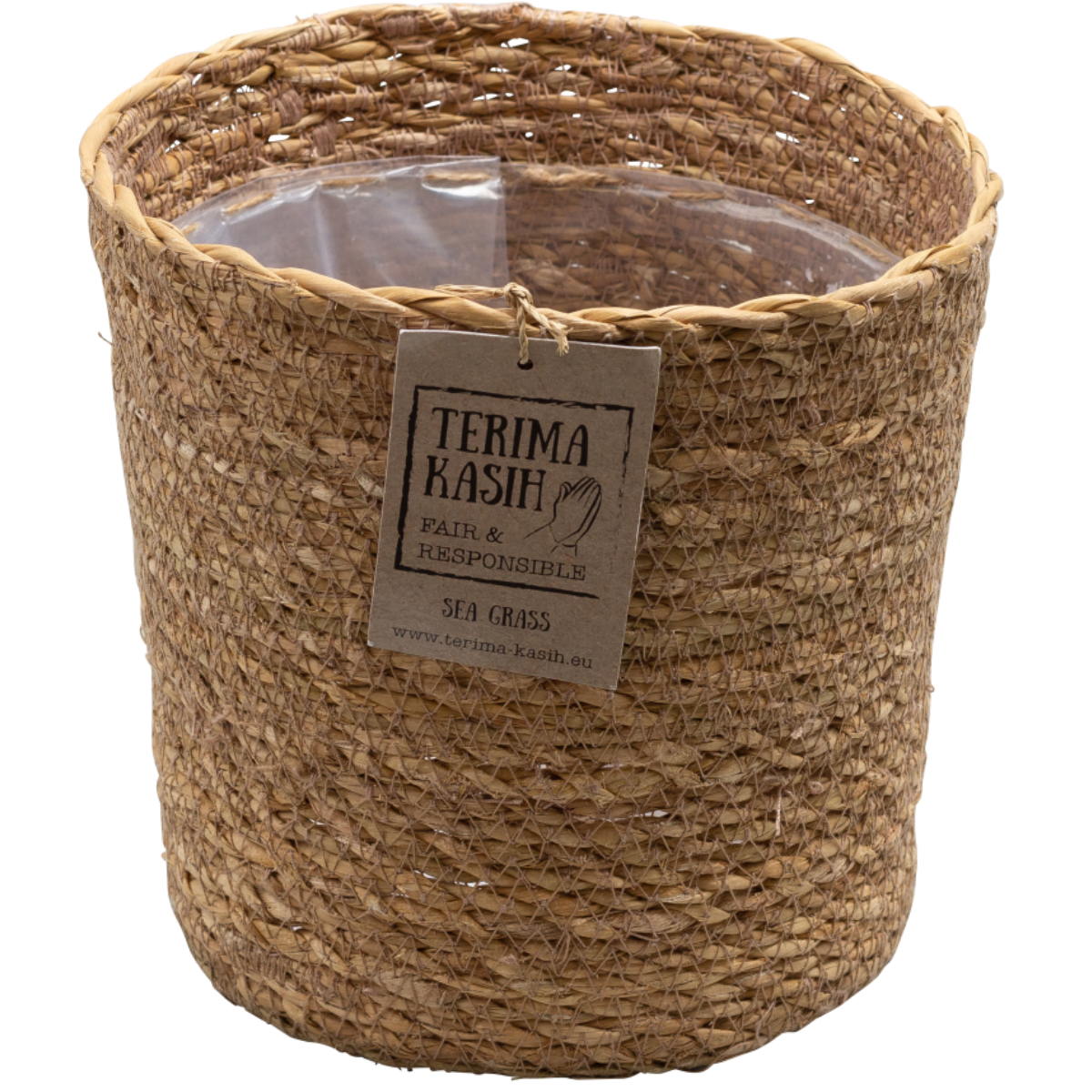 Plante purificatoare de aer - 5 buc - Include coș - Înălţime 25-40cm - ⌀12cm
