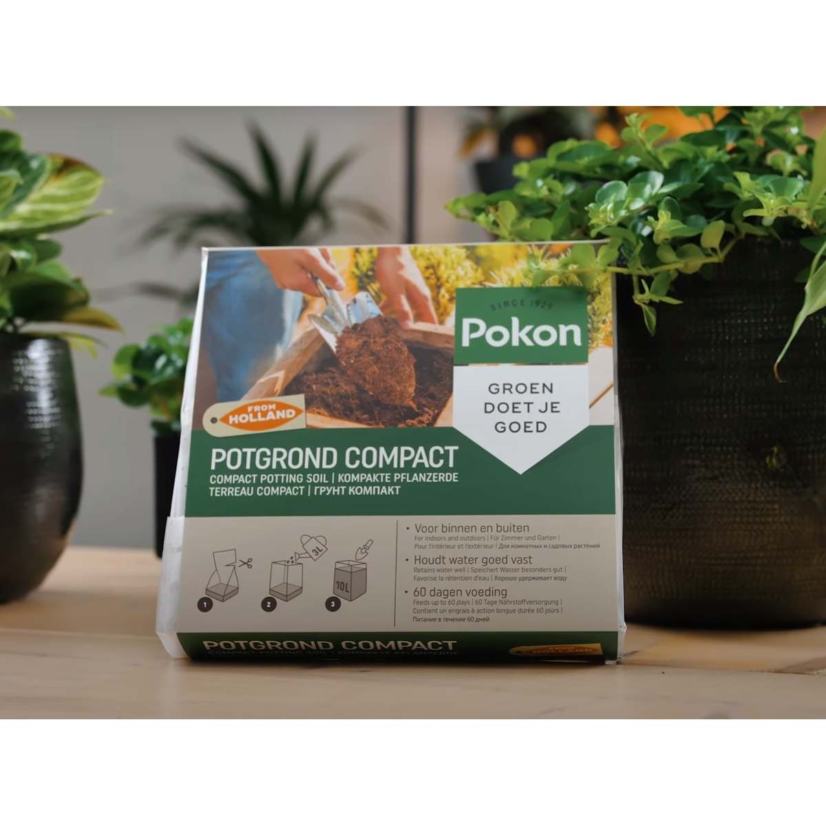 Pokon pământ de ghiveci Compact - Cocos - Casă și grădină - 50 litri