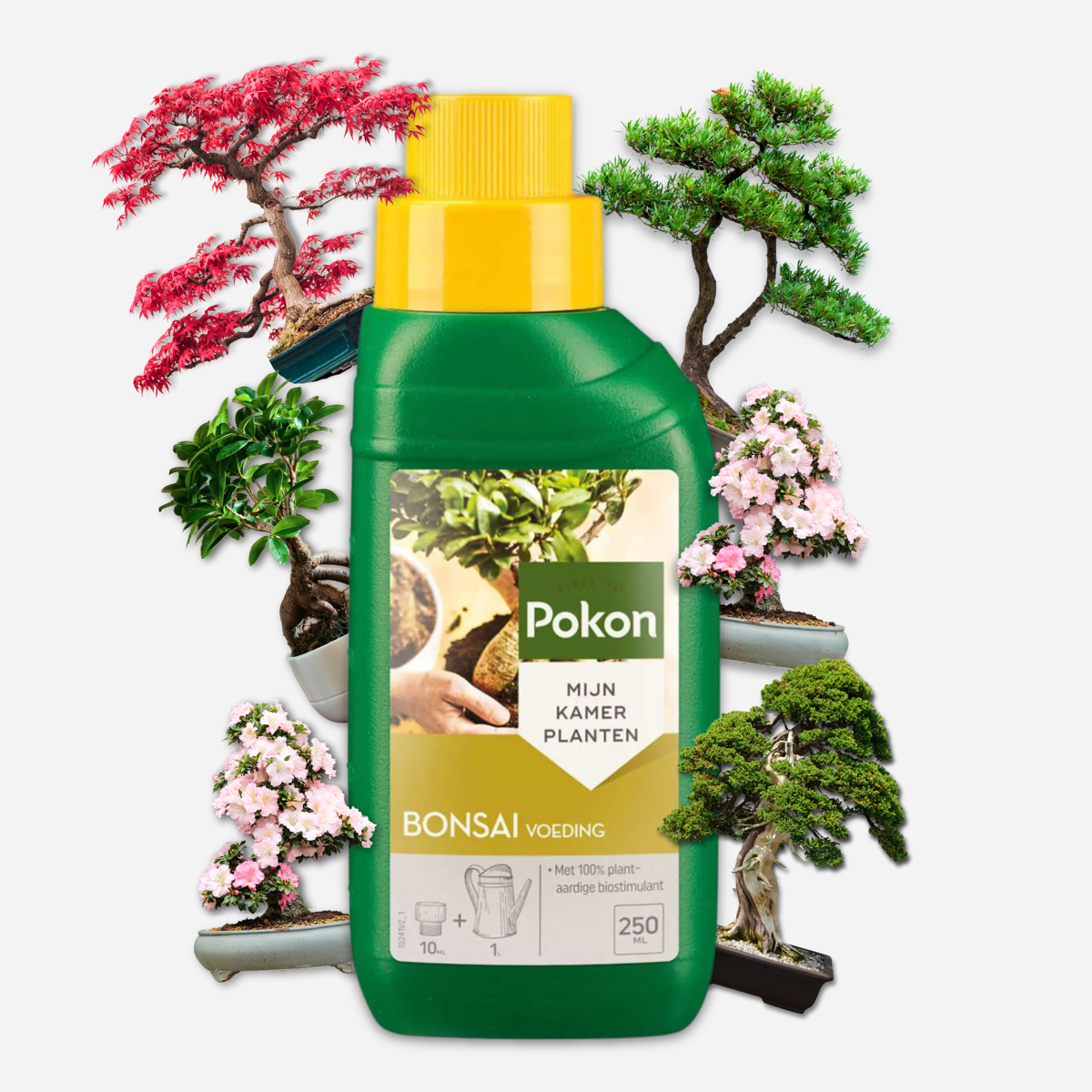Hrana lichida pentru plante Pokon - Bonsai - 250ml