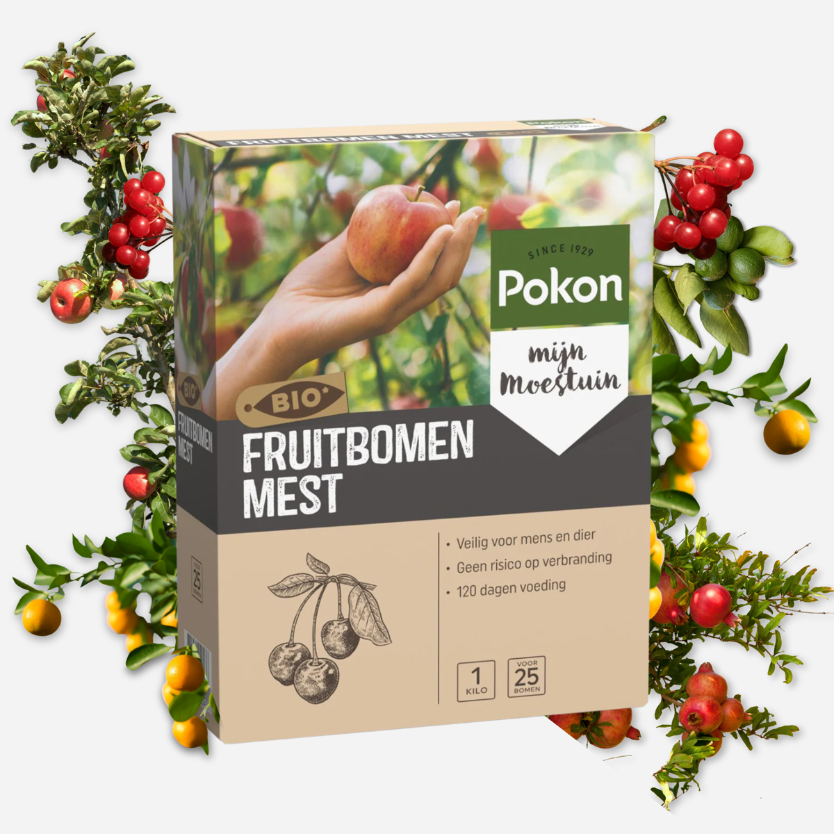 Îngrășământ Pokon Bio pentru pomi fructiferi - 1kg