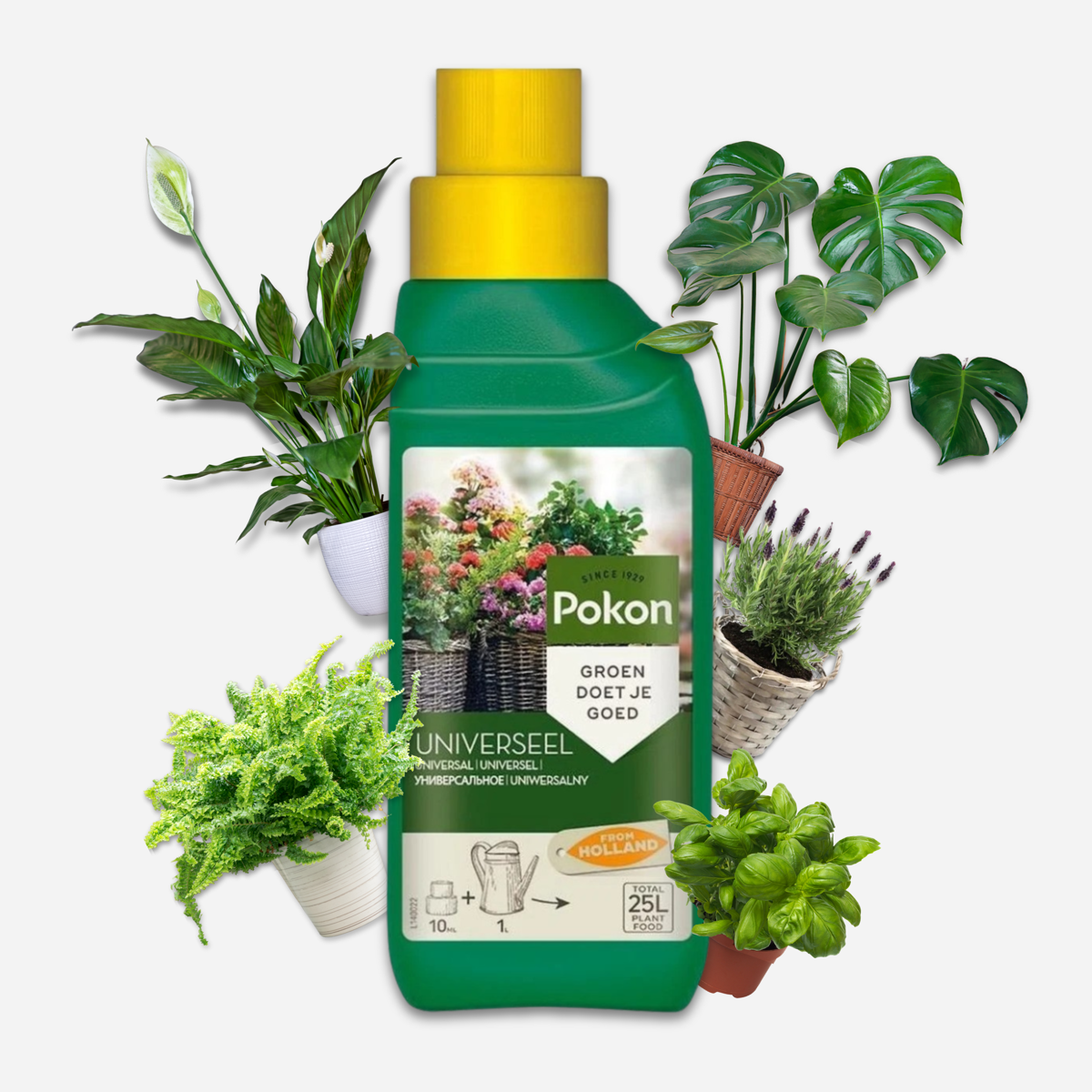 Pokon hrană lichidă universală pentru plante - 2,5 litri