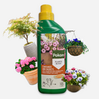 Pokon îngrășământ lichid pentru plante de terasă și balcon – 500 ml