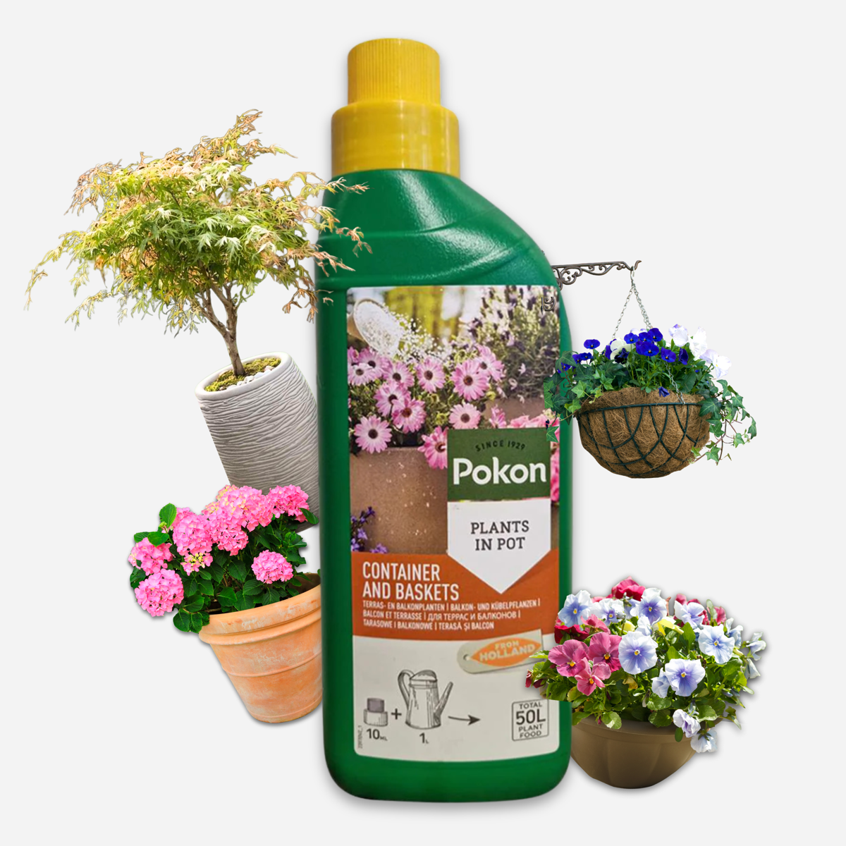 Pokon îngrășământ lichid pentru plante de terasă și balcon – 500 ml