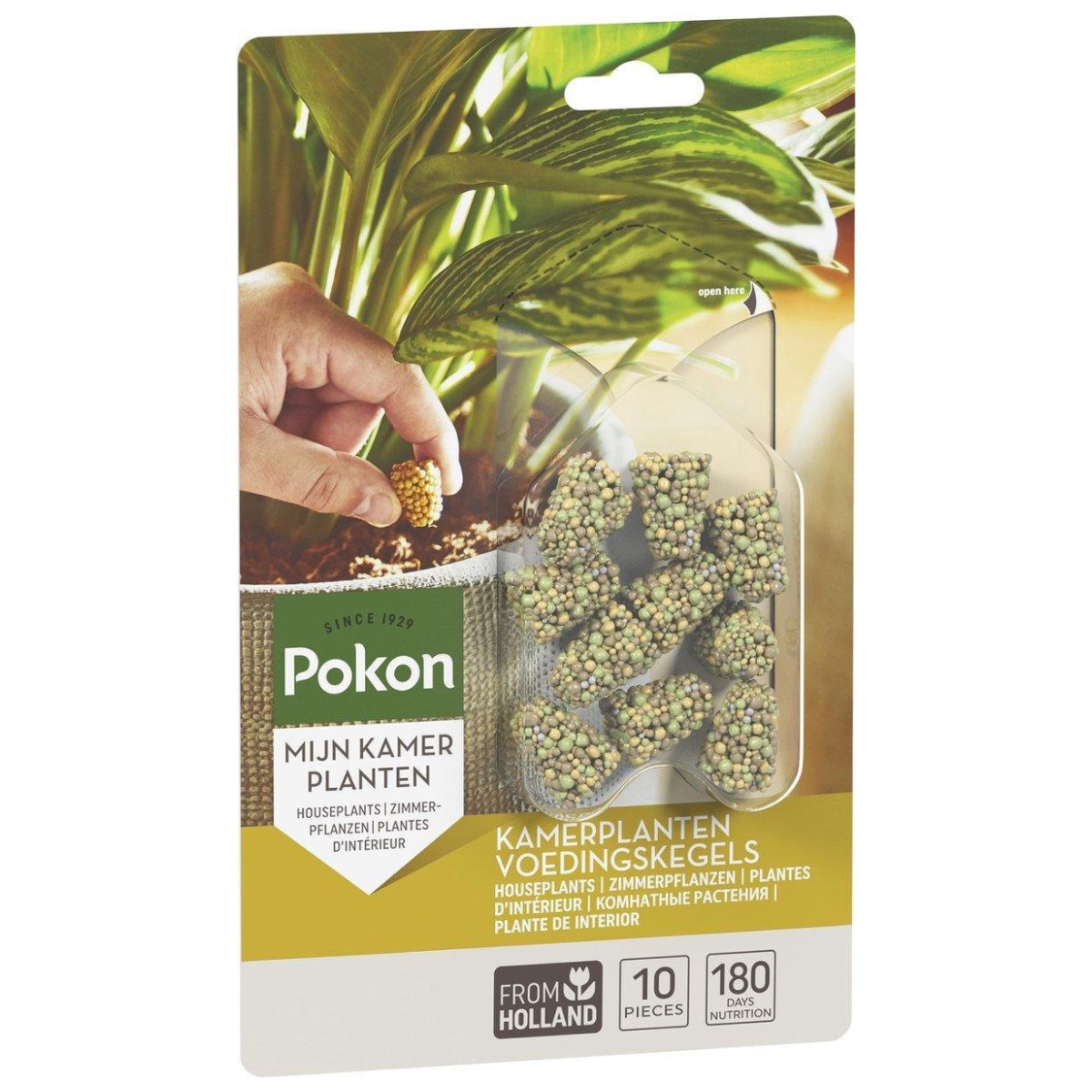 Pokon conuri alimentare plante de apartament - 10 bucăți