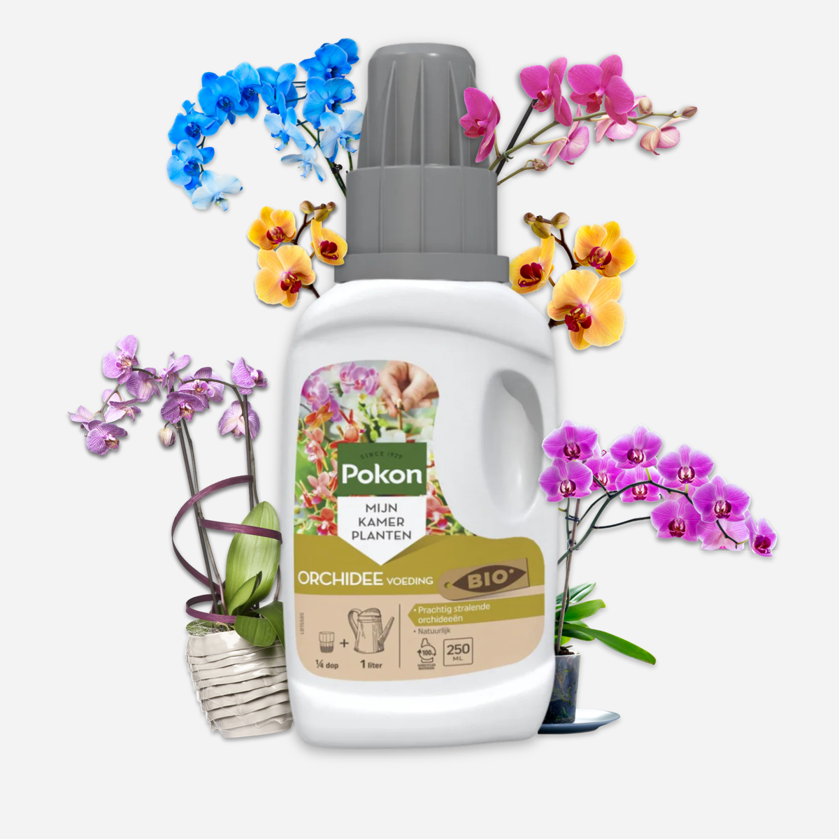 Hrana lichida pentru plante Pokon - Orhidee - 250ml